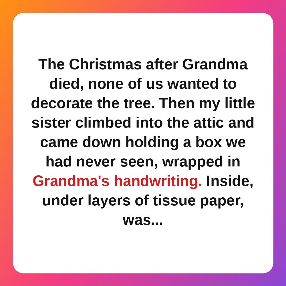 3. Grandma's Last Ornament Was Hiding in the Attic story card