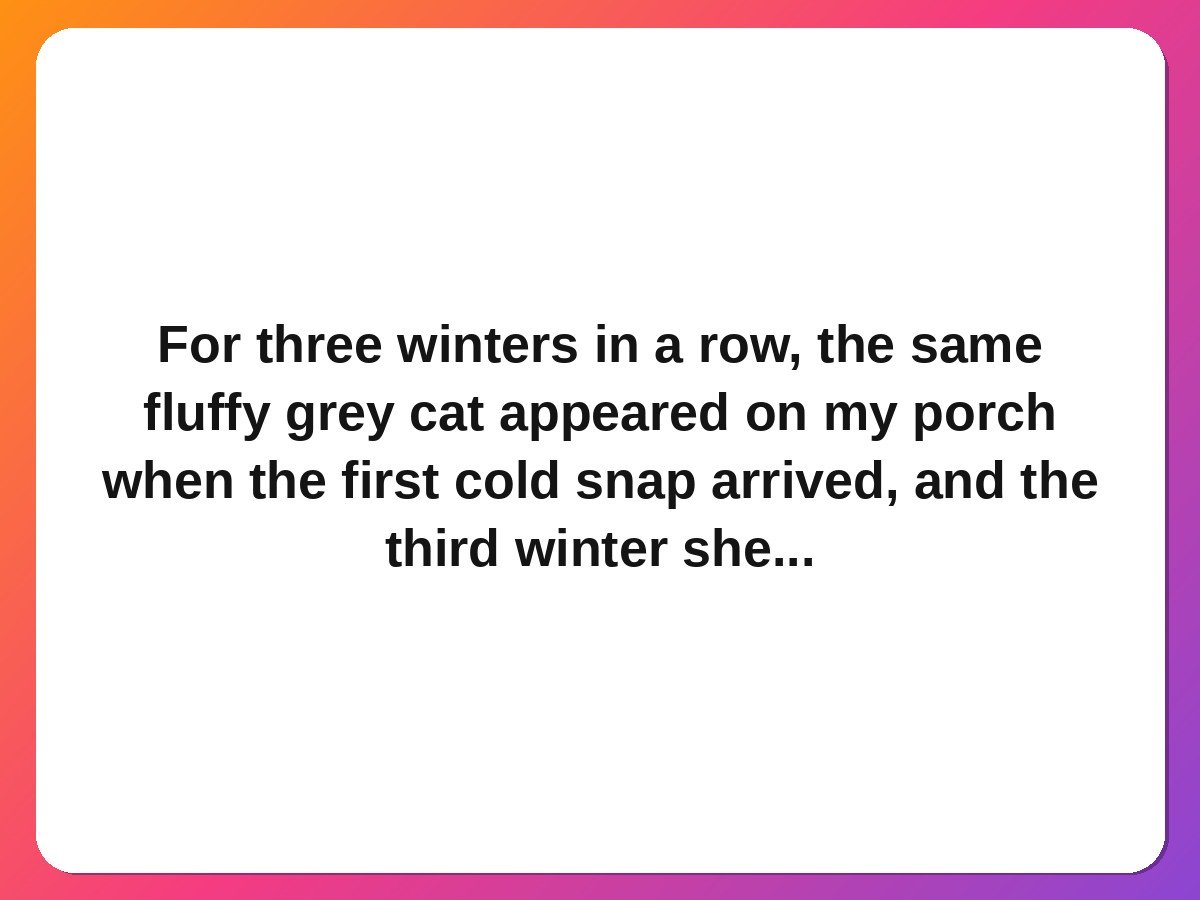 The cat who came back every winter pet rescue story
