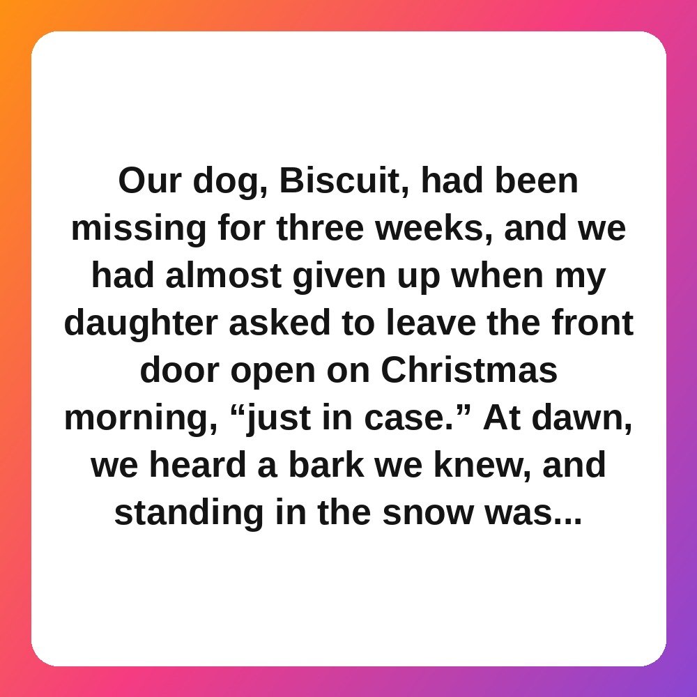 11. Our Lost Dog Came Home on Christmas Morning story card