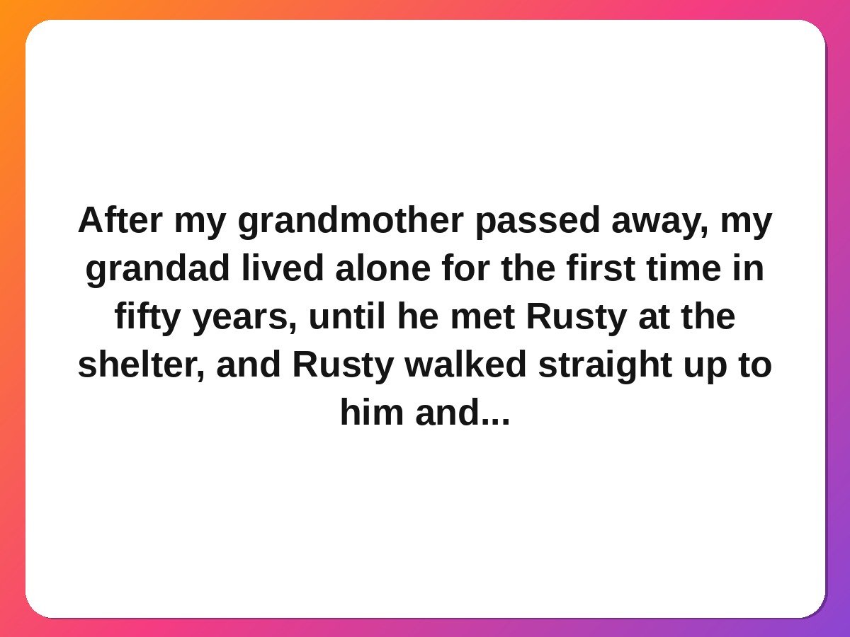 The rescue dog who became a grandad's best friend pet rescue story