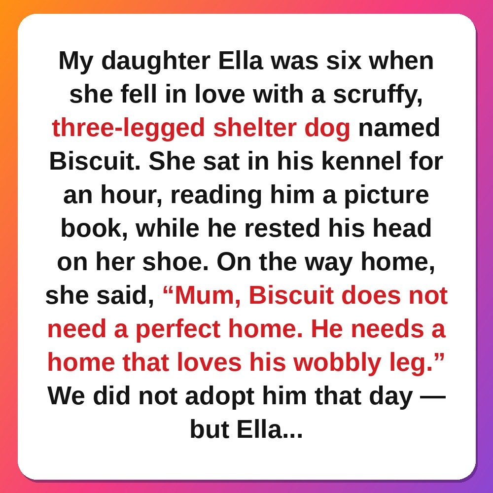 The Little Girl Who Adopted a Whole Shelter Dog story card