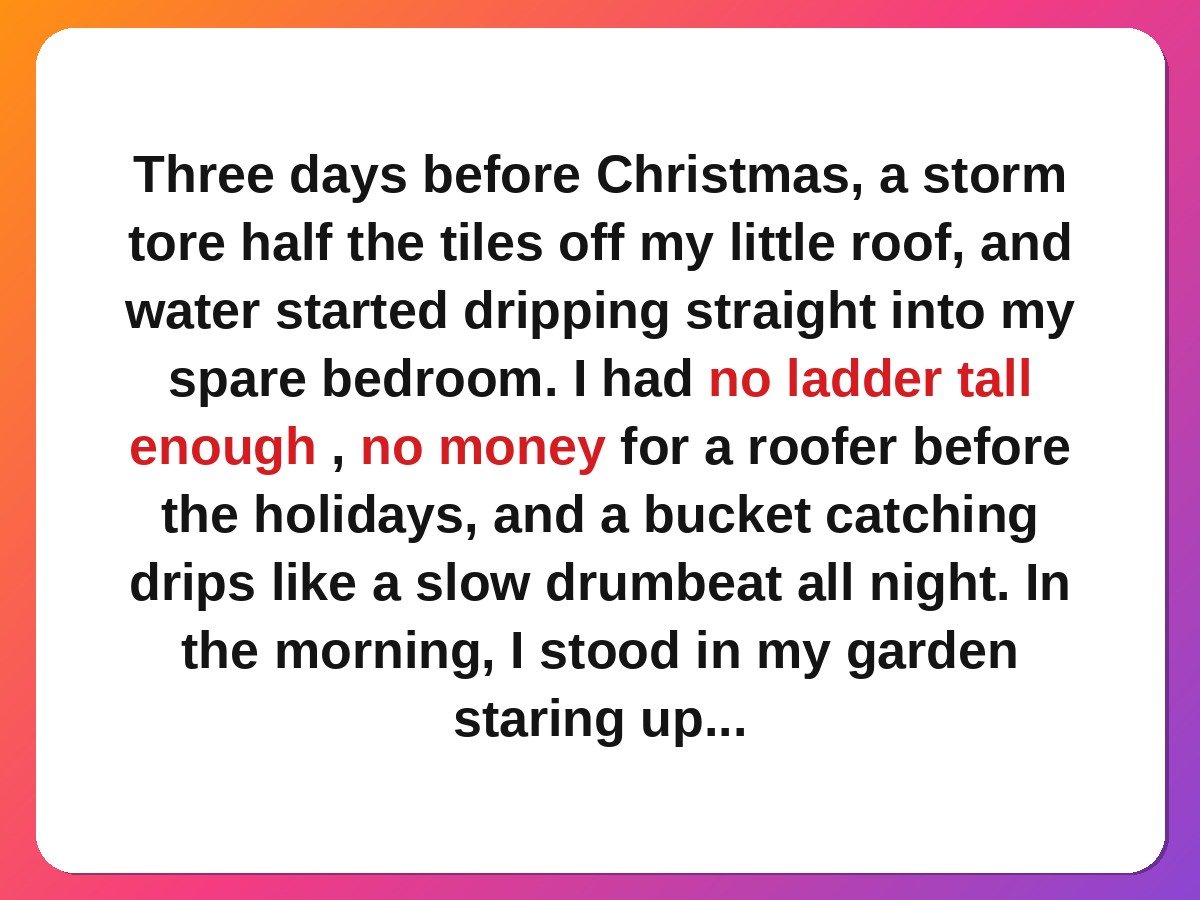 neighbour kindness stories - neighbour lending a ladder to fix a storm-damaged roof story card