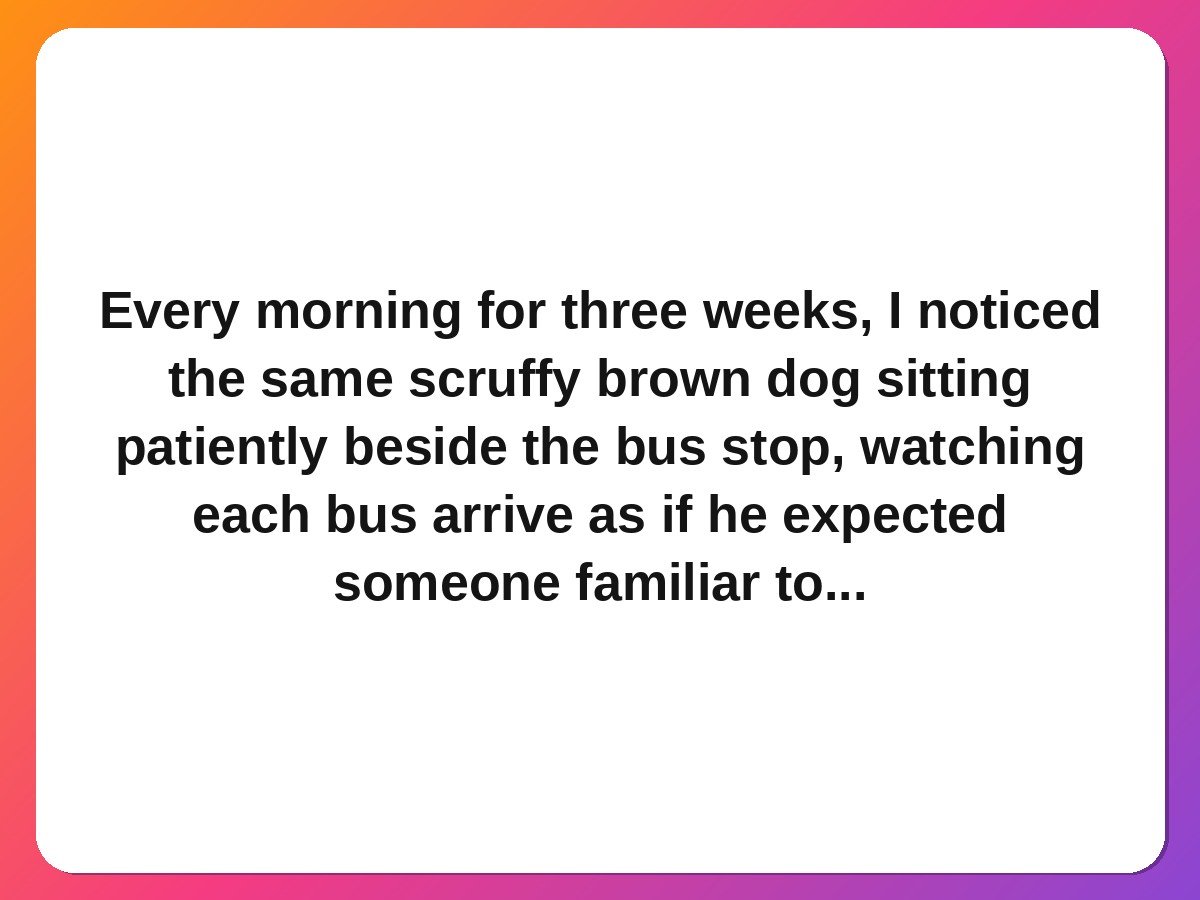 The dog who waited at the bus stop pet rescue story