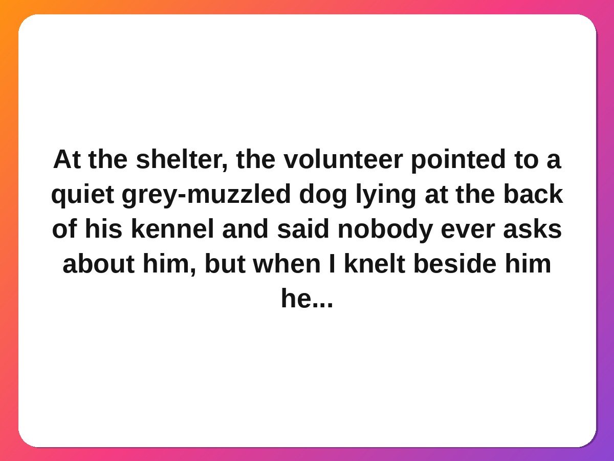 The old dog nobody wanted pet rescue story