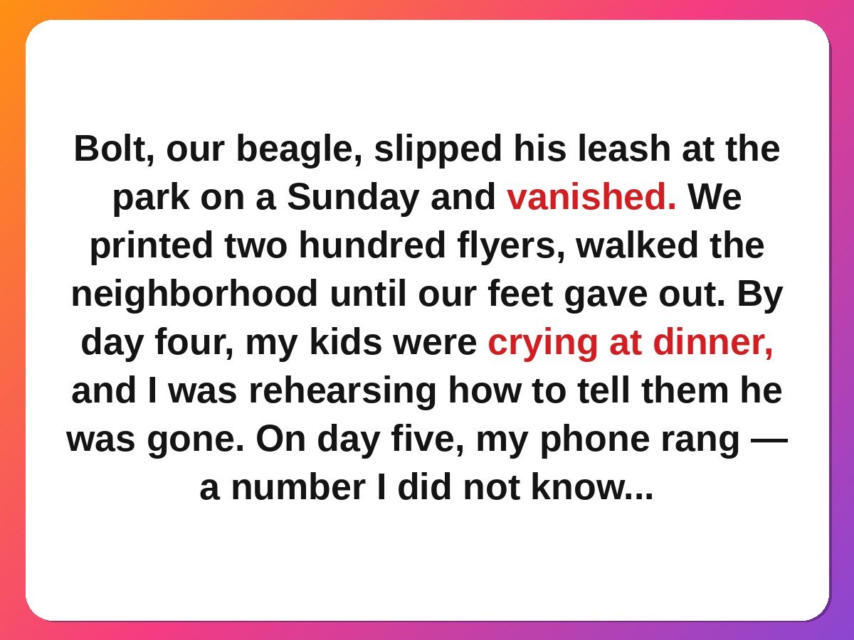 kind stranger stories - stranger driving forty miles to return a lost dog story card