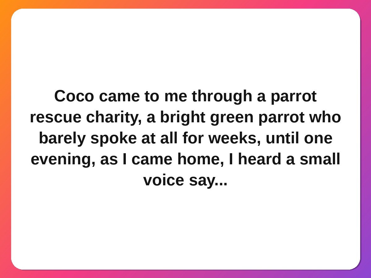 The parrot who learned to say home pet rescue story