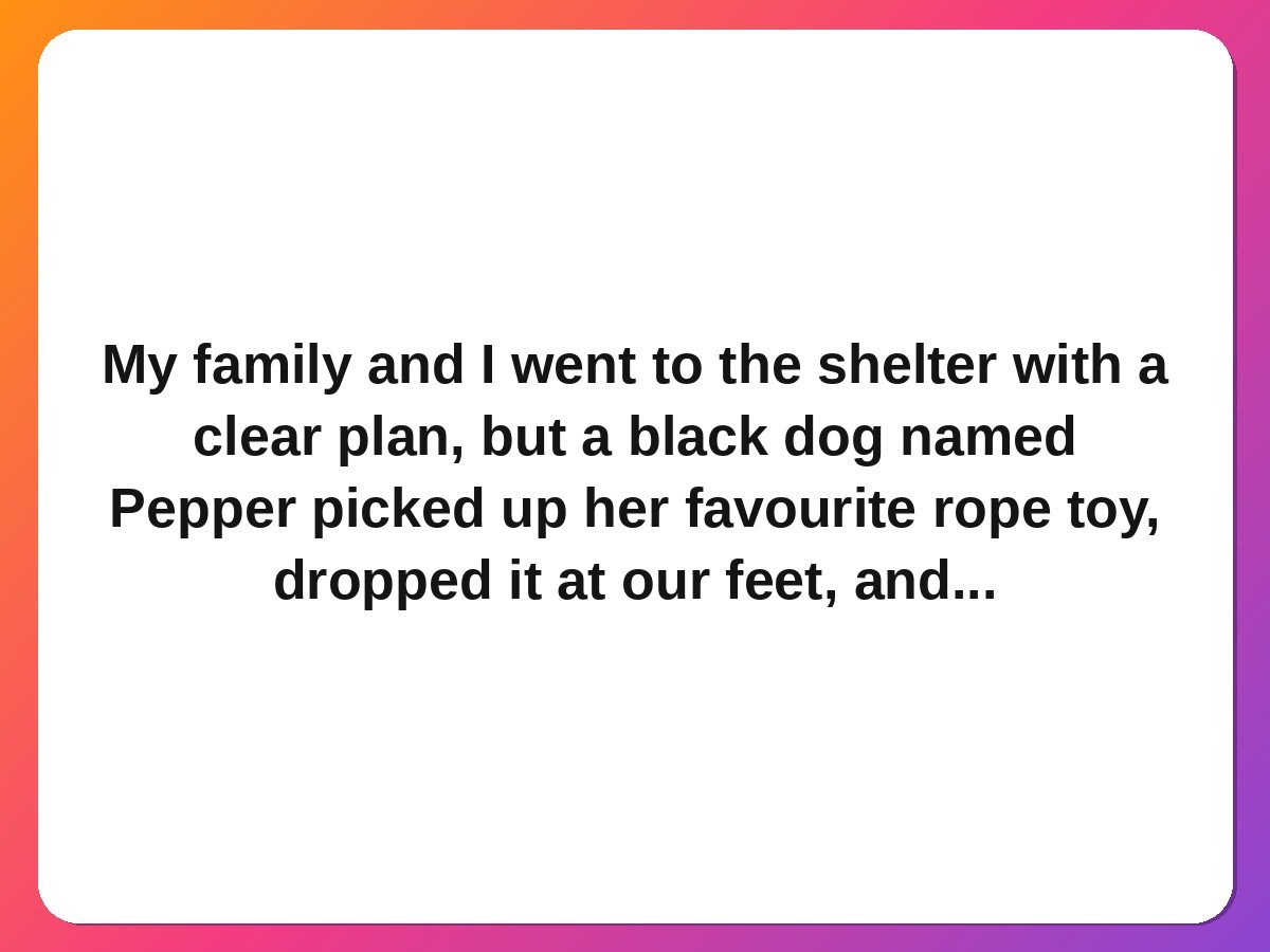 The dog who chose us at the shelter pet rescue story