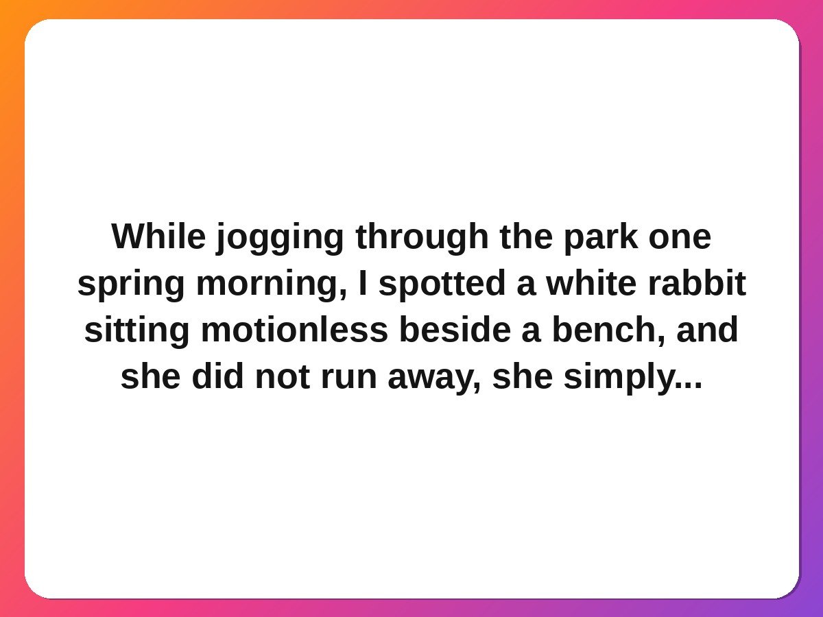 A rabbit left in the park pet rescue story