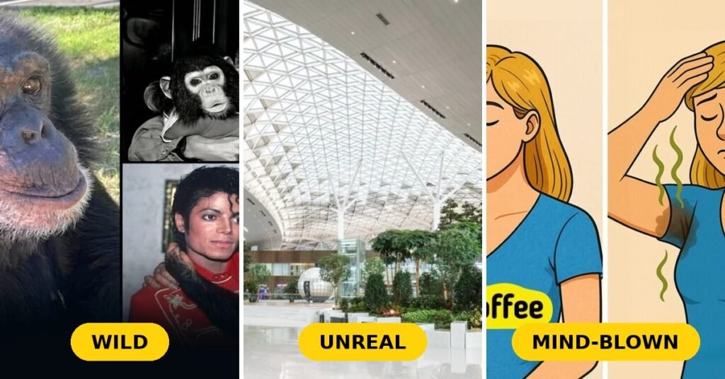 101 Fun Facts That Will Blow Your Mind (You Won’t Believe #37)